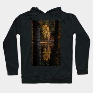 'Autumn Magic 2', Loch Dunmore, Pitlochry Hoodie